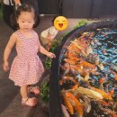 갈매카페거리 | [구리 갈매] 수풀림 아쿠아카페 방문 후기 – 아이와 함께하기 좋은 곳!