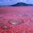 호수언저리 이미지