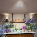 섭이하우스 | W.09) 웨딩홀 투어 : 강남 밝은 웨딩홀 '셀럽앤어섬' 투어 후기 및 26년 상반기 견적 공유