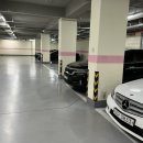 썸데이 헤어 이미지