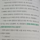 도서 추천 ＜네가 유성처럼 스러지는 모습을 지켜볼 운명이었다＞ 이미지