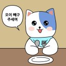 음식박사