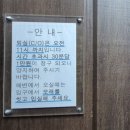 포시즌비치호텔 | 강릉 사근진해변 근처 가성비 숙소 :: 강릉 포시즌호텔&펜션 내돈내산 솔직후기