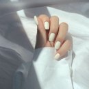 레몬네일 이미지