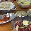남포동 맛집 할매가야밀면 비빔밀면 웰빙 칼국수 왕만두 후기 추천 메뉴