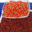 건구농장 | 6시내고향 청양 구기자 농장 정보 및 주문