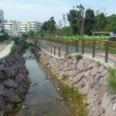 정량천 생태하천 이미지