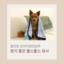 향기3로 | [올인원 강아지천연샴푸 추천] 향기 좋은 톨스톨스블루라군스파워시 후기