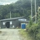 숲속장어 이미지