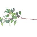 강 나 루 이미지