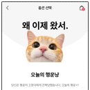 행운냥이 이미지