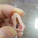 금강보청기 주안센터 이미지