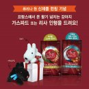 도그앤스토리 이미지