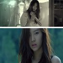 세화장 이미지