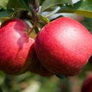 맑은미소한의원 이미지