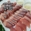 주식회사정치망1 | 대전 방어 맛집 관저동 정치망 방어회 내돈내산