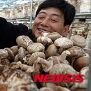 내탐마을 이미지