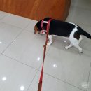 이담동물병원 이미지