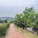 계화보건지소 이미지