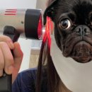 박시영이비인후과의원 이미지