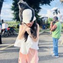 바투바투 | 쿠알라룸푸르 투어 반딧불투어 바투동굴 푸트라자야 내돈내산 후기