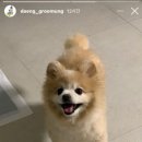 댕그루멍 이미지