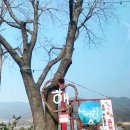 합천호농협주유소 이미지