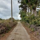 하천리-7 이미지