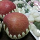 용인대 태기 합기도 이미지