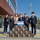 상황버섯 향촌 이미지