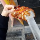 명랑 핫도그 후기
