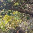 토산경로당 이미지