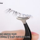 리아래쉬