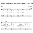 온 누리의 임금이신 우리 주 예수 그리스도 왕 대축일(성서 주간) 가해 이미지
