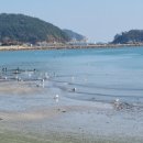 엄궁공인중개사사무소 이미지