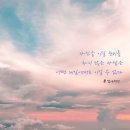 또수영 이미지