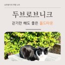 산책 | 두브로브니크 올드타운 산책 후기