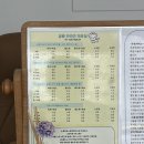 117호공원 | 포메라니안 가위컷 미용 후기 (공원반려견미용실)