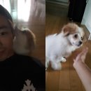 에디