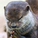 강서구-86 이미지