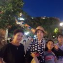 세베지 이미지