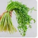 허웅농장 | 오늘저녁 '귀촌 클라쓰' 청도 미나리 파는 곳 연락처 정보