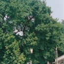 홍콩II 노래연습장 | '25 홍콩&amp;마카오 여행 : 노력! 분투! 주성치 투어(4)