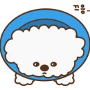 다나동물병원 이미지