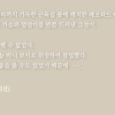 티디 이미지