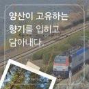 양산배내골 사과정보화마을 | 은은하고 오래가는 발향 좋은 디퓨저 추천, 양산의 향기를 담다