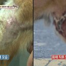 똘이농장 티스토리