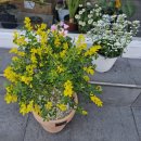 천사퍼플민박 이미지