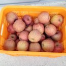 월곡농장 이미지