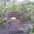 노산농장 이미지